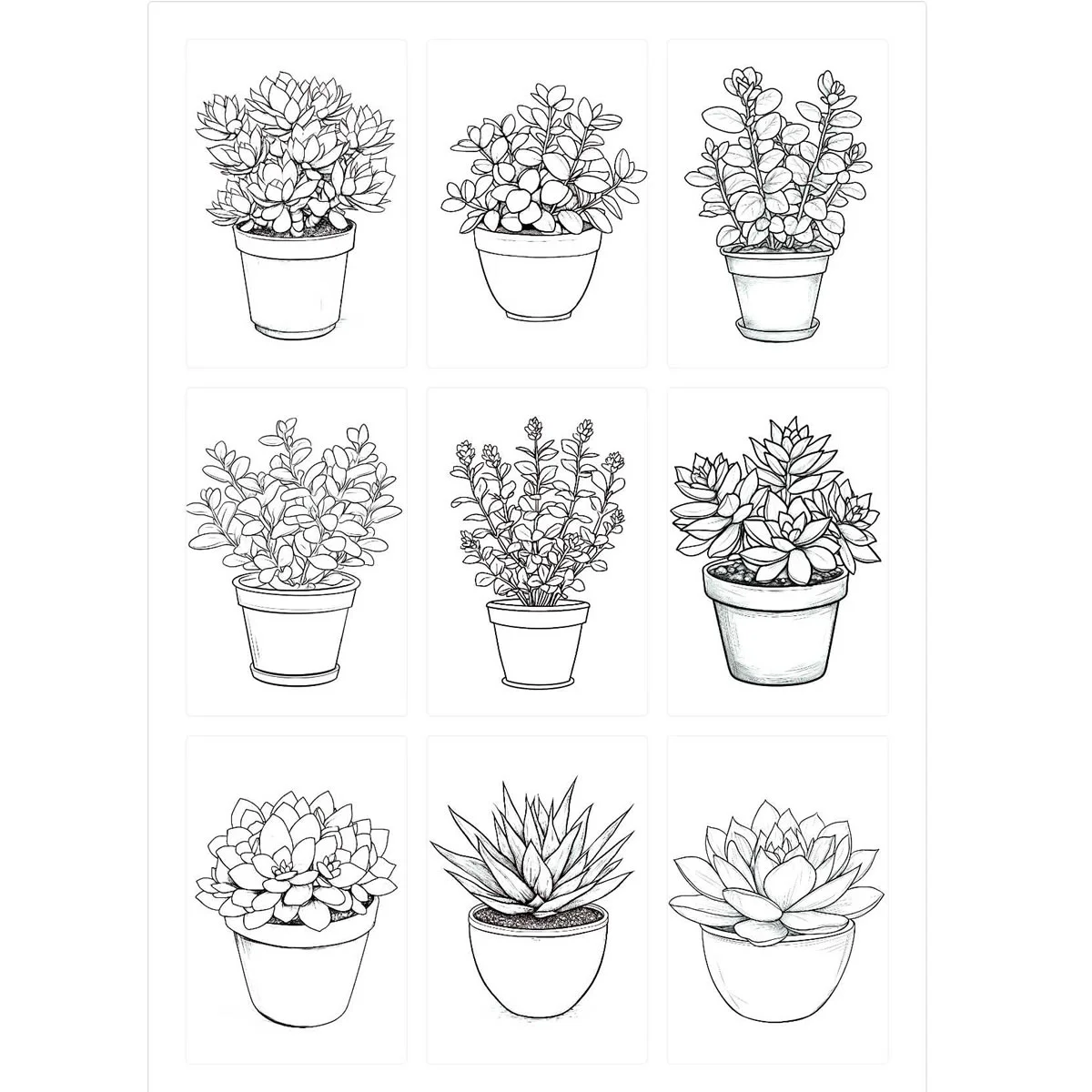 Como Colorir Livro de Colorir Plantas Suculentas — Guia Prático para Iniciantes